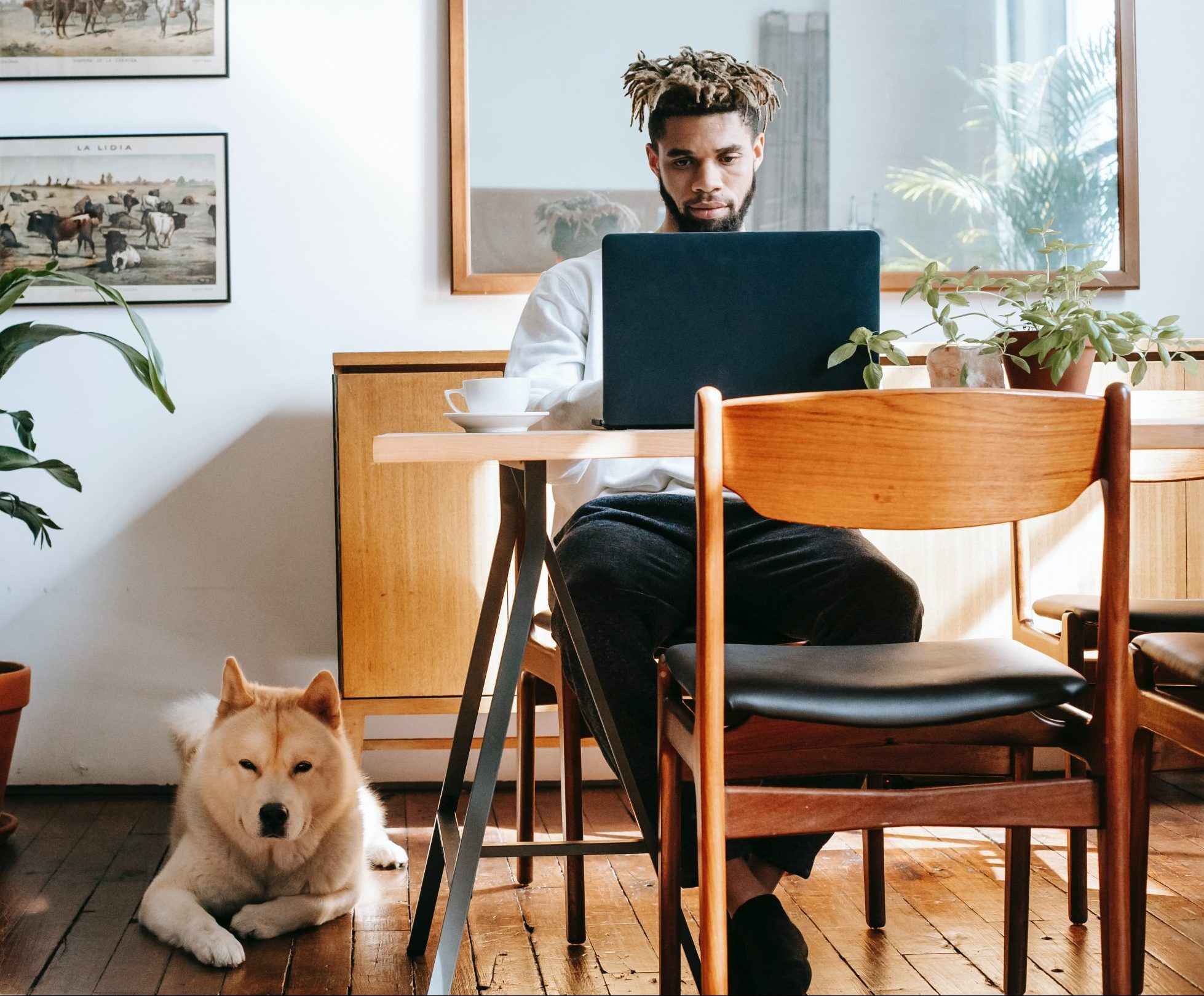 Man on laptop with dog