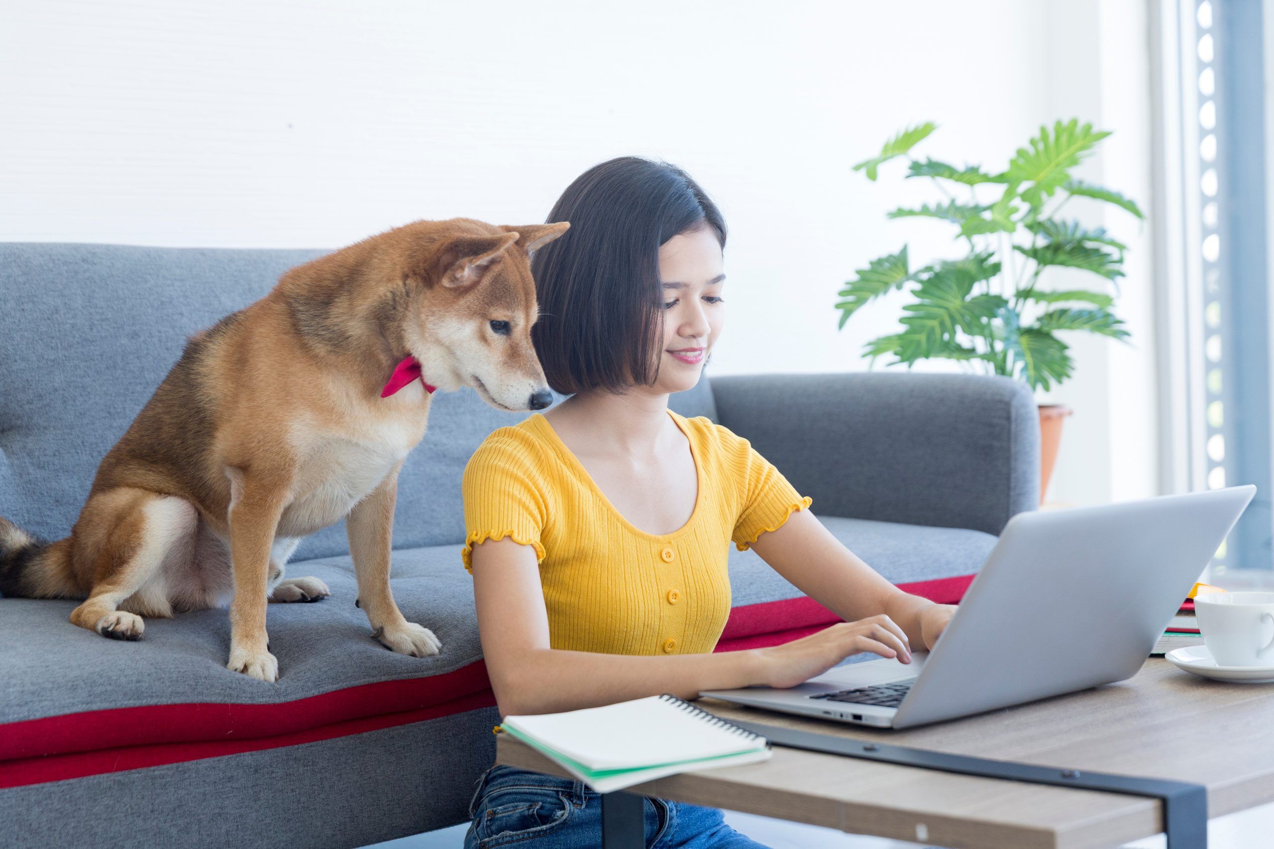 young woman learning about pet benefits for employees