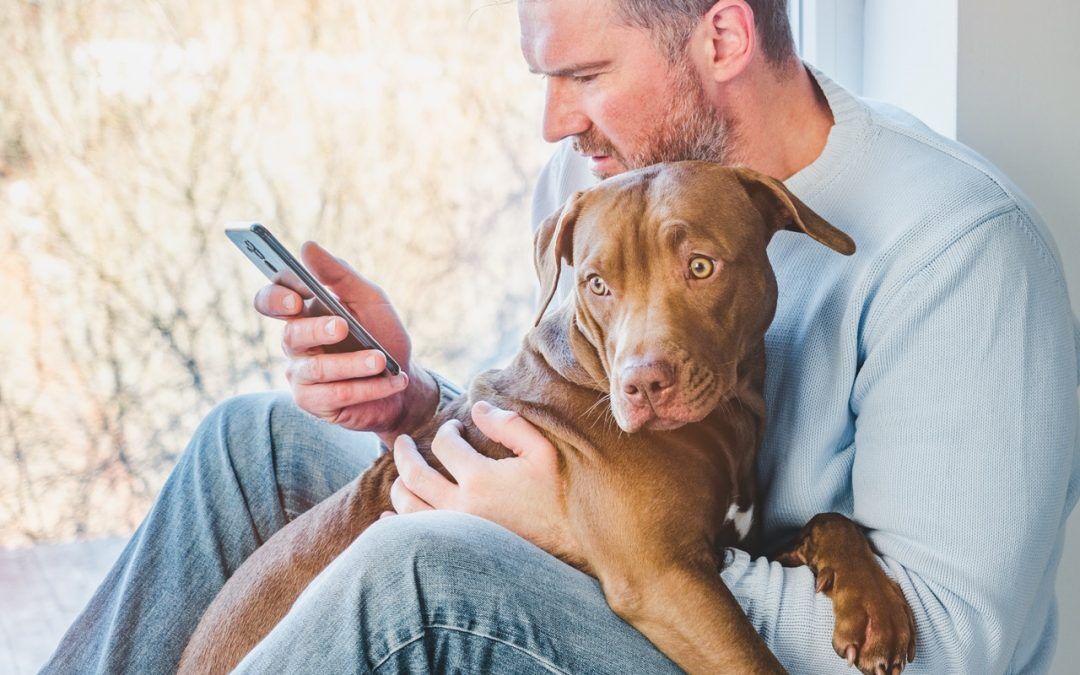 What Employers Need to Know About Pet Telehealth and Vetcare as a Benefit: FAQ