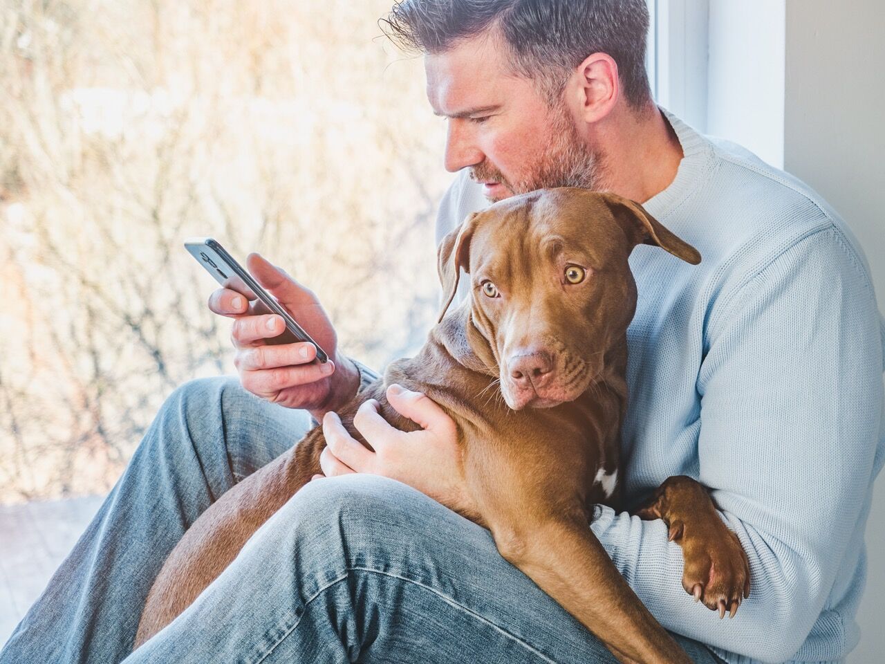 man and puppy calling a vet on the phone through pet telehealth