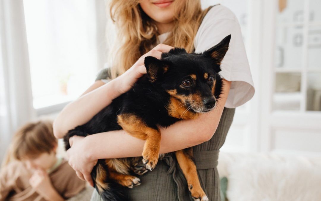 The Rise of Pet Benefits in Millennial and Gen Z-Friendly Workplaces